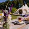 Image 1: Wildflower Meadow Afternoon Tea for Two or Four – Relax & Unwind at Finchingfield Lavender Field! (Up to 45% Off)