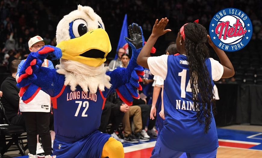 Image 1: Long Island Nets - Up to 37% Off