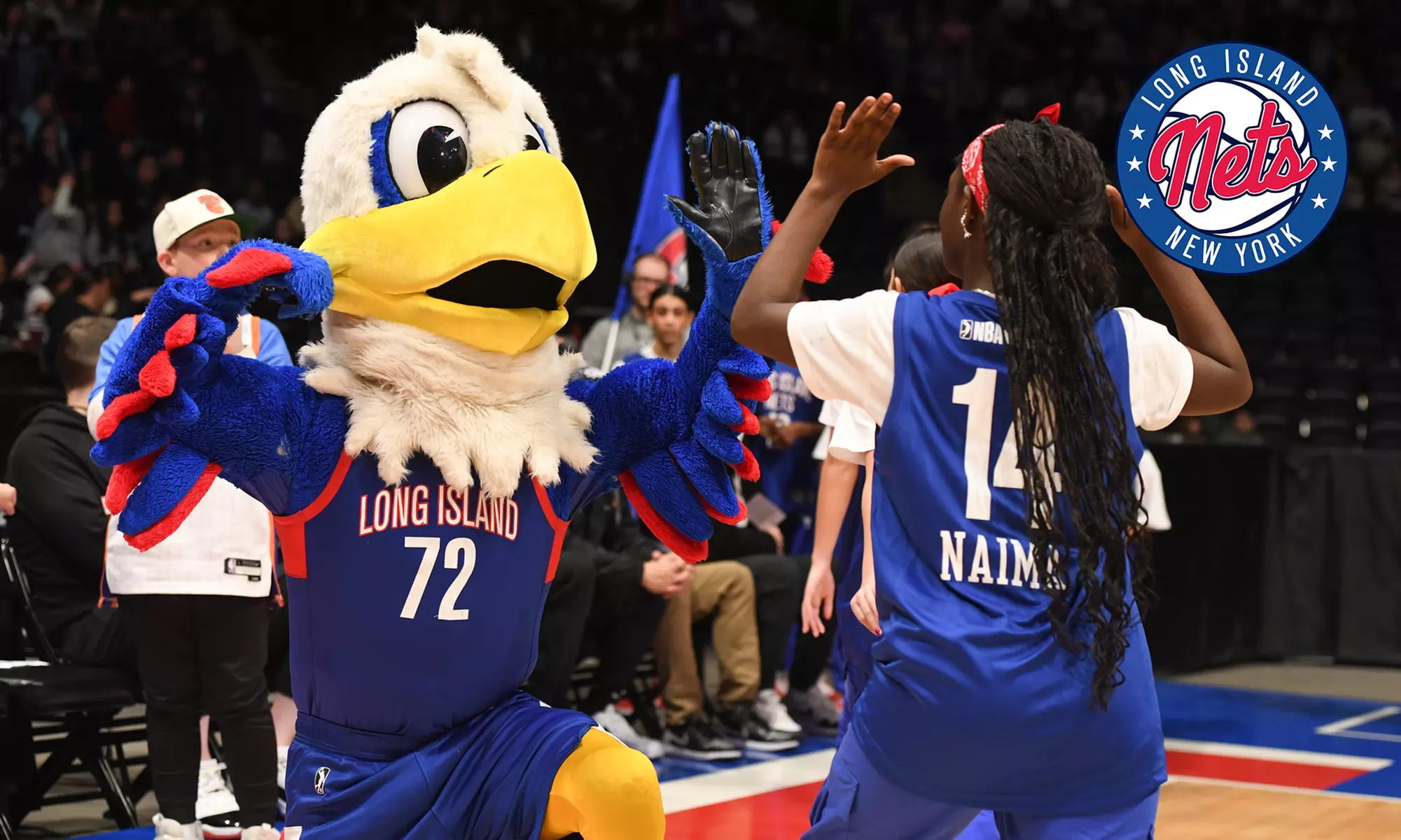 Long Island Nets - Up to 37% Off