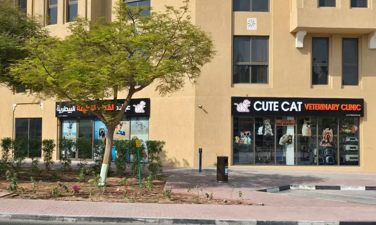 Dog & Cat Medical Check-Up, Annual Vaccination & Wellness Packages