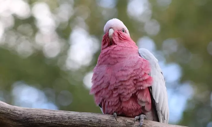 Balade nature et biodiversité à deux pas de Paris