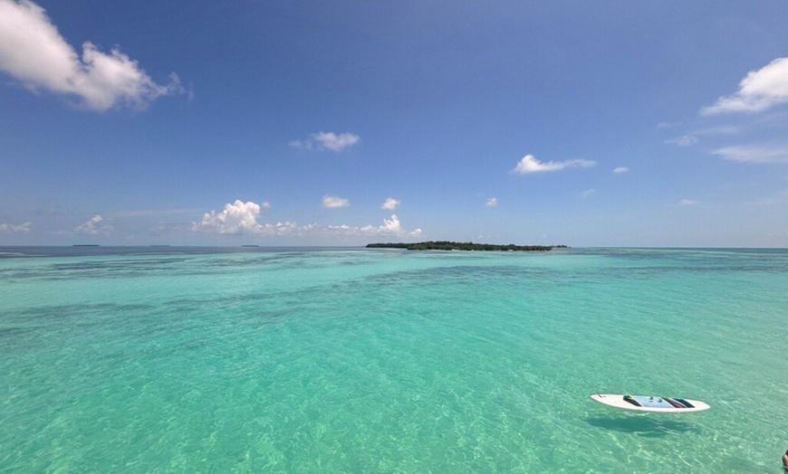 Image 5: Key West Kayak Tour