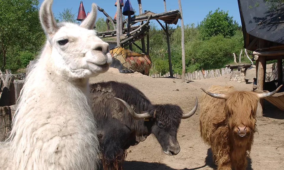 Bilety do Parku Przygody Turiuswinkel i Tajemniczego Świata Turisede