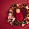 Image 9: Newborn Photography: Get a Standard, Deluxe or Solo Collection