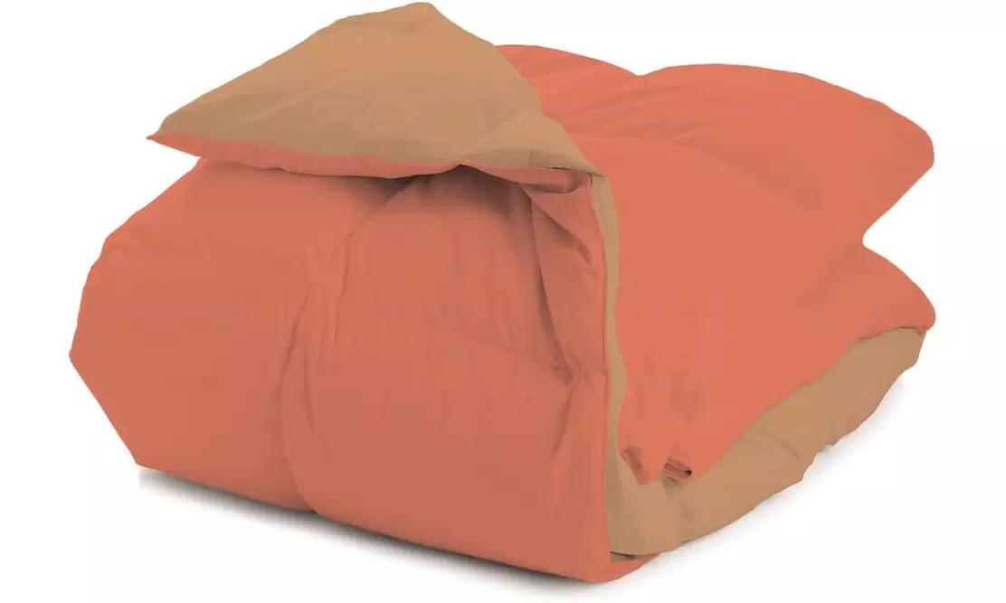 Couette d’hiver réversible avec 90% plumes d’oie