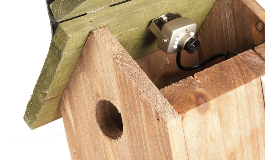 Image 4: Nest Box Camera System (60% Off)