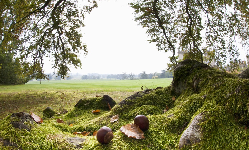 Image 3: Scottish Borders Country Break