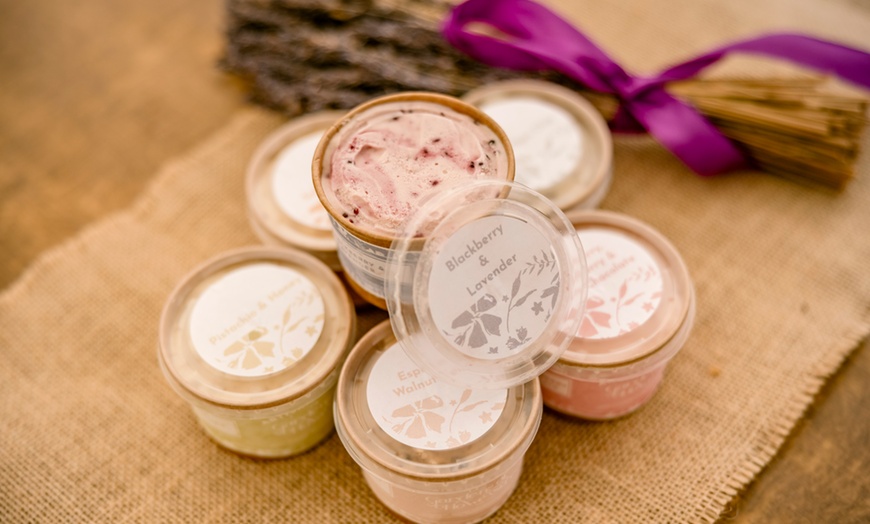 Image 15: Discover Beautiful Lavender Fields & Afternoon Tea at Finchingfield Camping with Up to 33% Off!