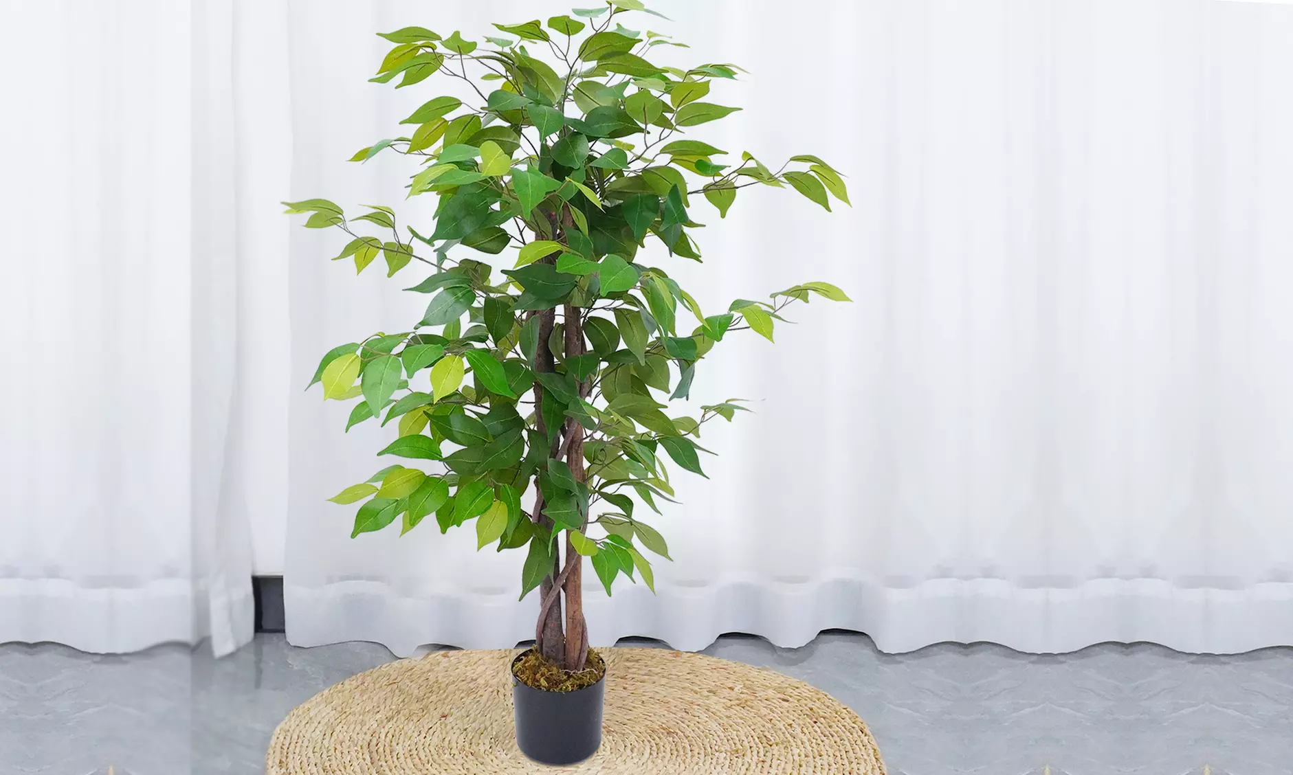 Collezione di piante finte da interno