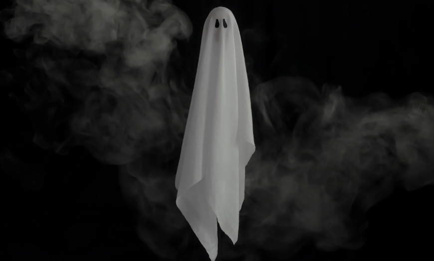 Image 5: See Haunted Landmarks with Ghostly Waters Boat Tour at Long Beach