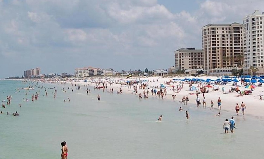 Image 6: Clearwater Beach Fun w/ Dolphin Sightings, Captain Memos & White Sands