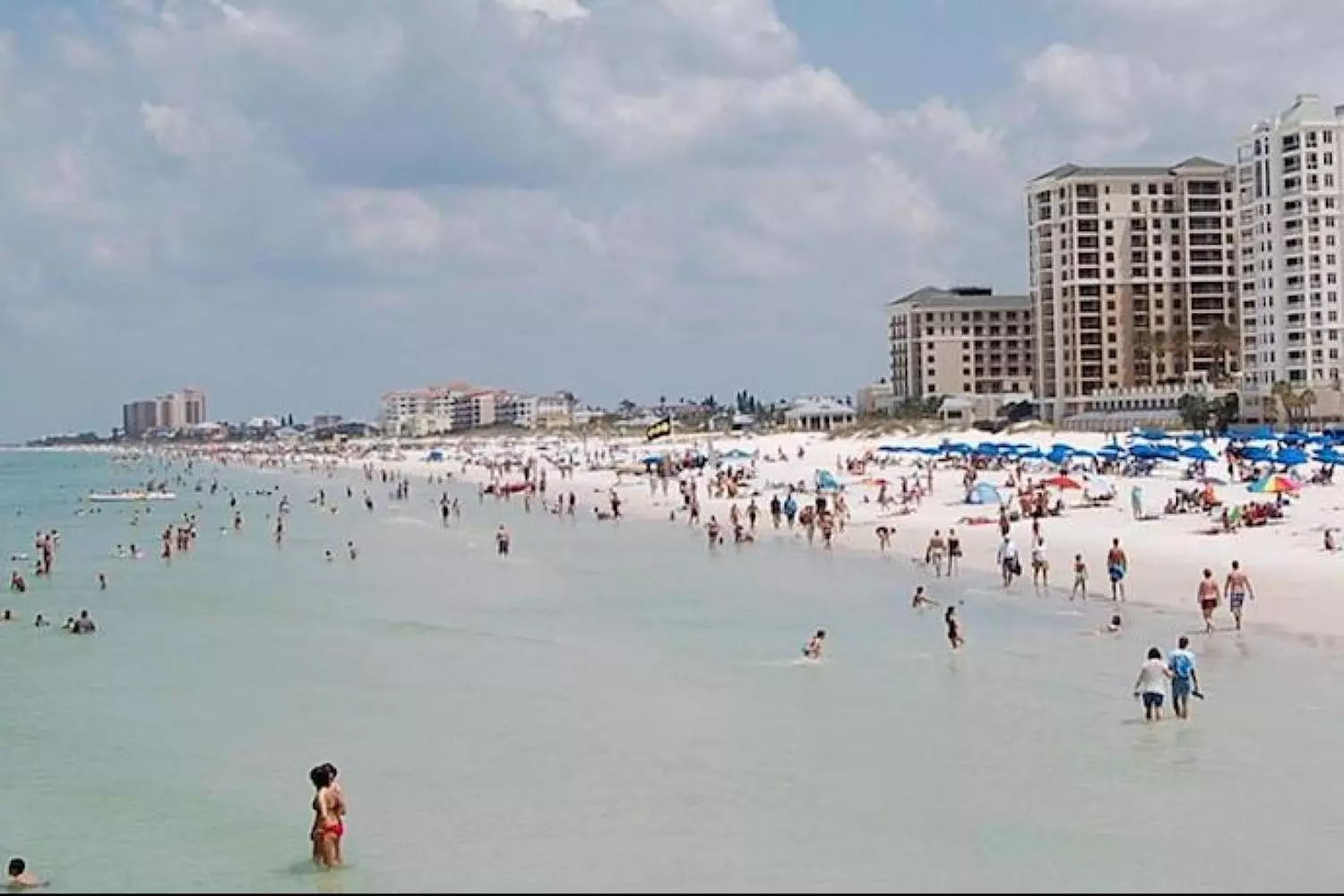Clearwater Beach Fun w/ Dolphin Sightings, Captain Memos & White Sands
