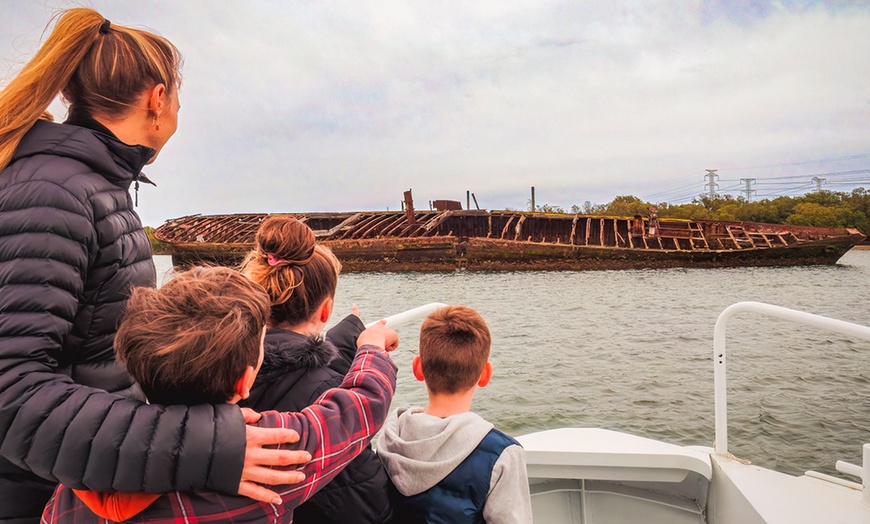 Image 2: 90-Minute Port River Dolphin & Ships Graveyard Cruise