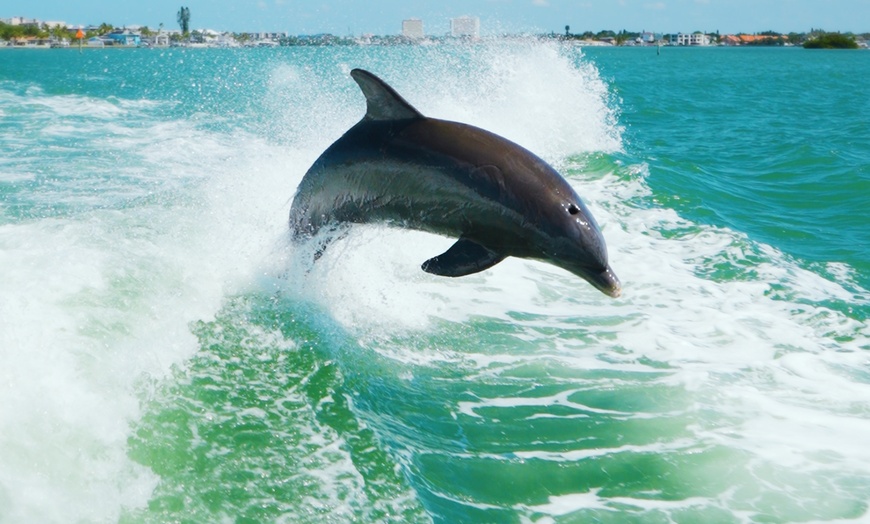 Image 8: Dolphin Racer Adventure Boat Tickets out of St. Pete Beach