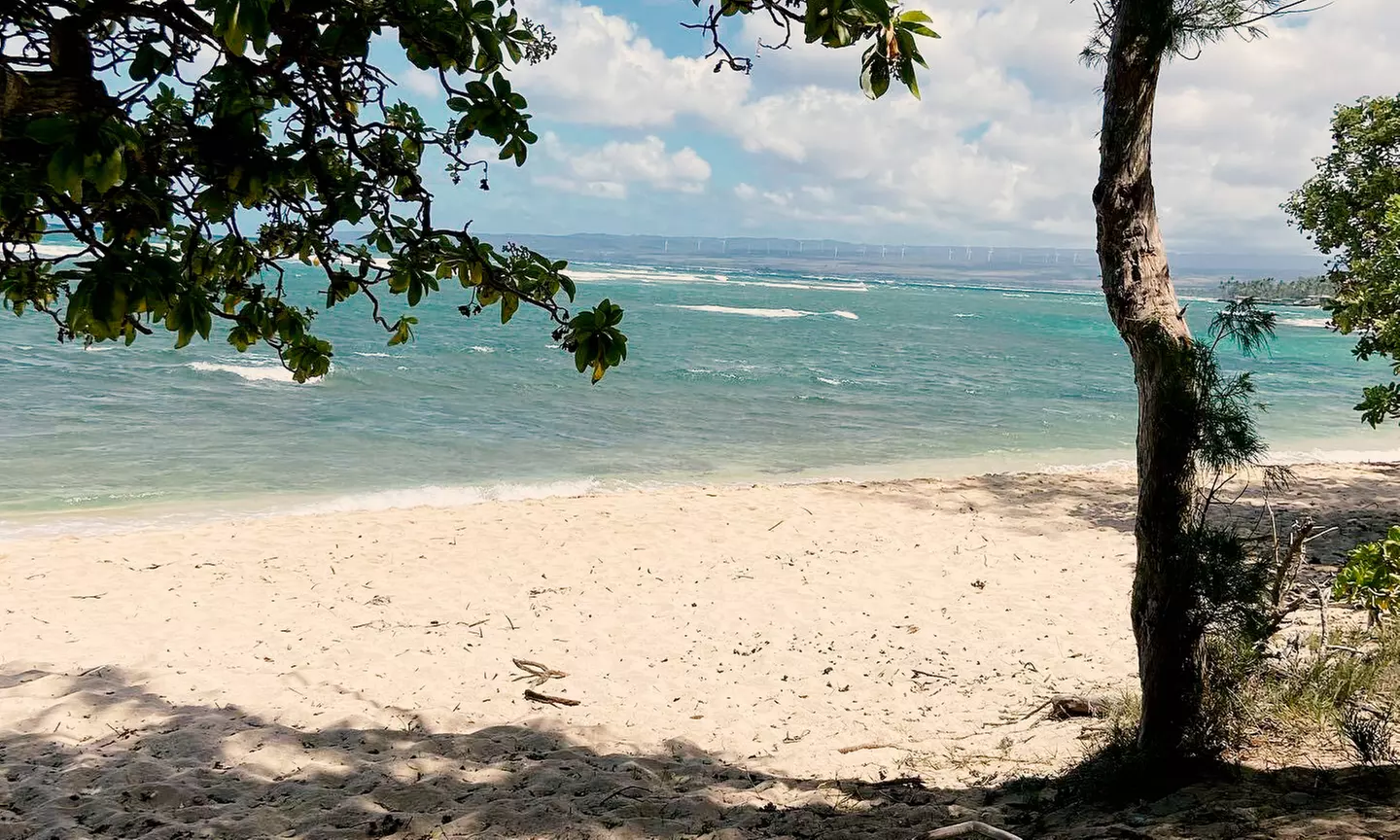 Group or Private Fishing Tour for Two or Four People