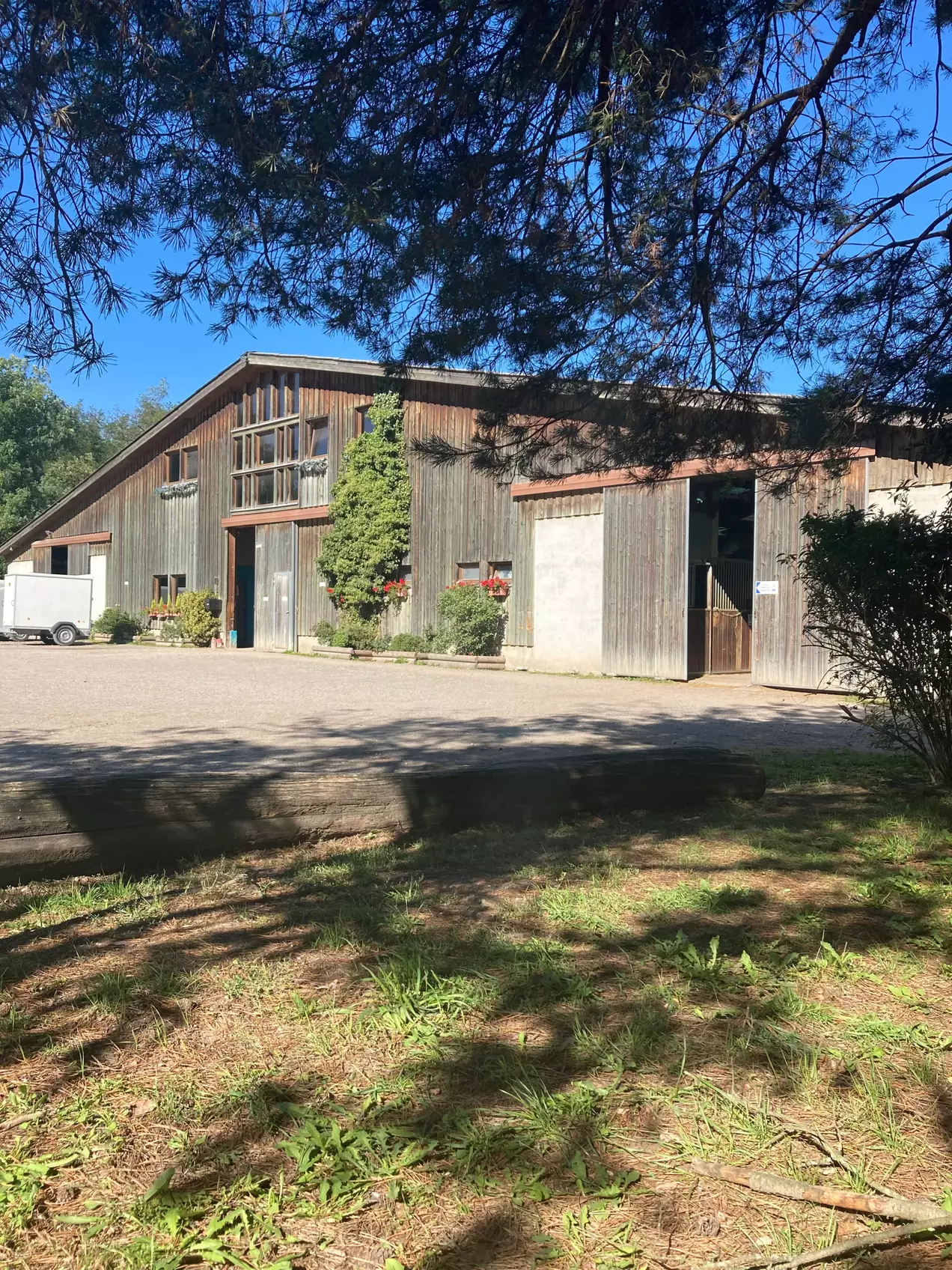 Découverte de l'équitation au Haras des Bussières