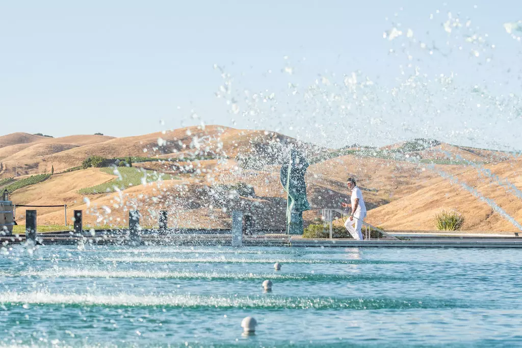 20% Off Outdoor Wine & Charcuterie Box at Artesa Winery