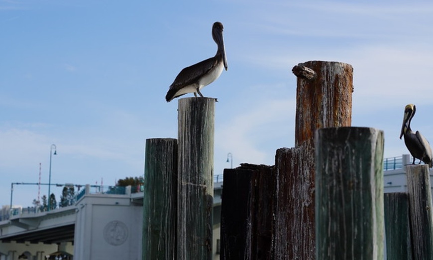 Image 11: Up to 30% Off Evening Boat Cruise with Buffet in Madeira Beach