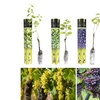 Image 1: Lot de 2 ou 4 plants de raisin à vin