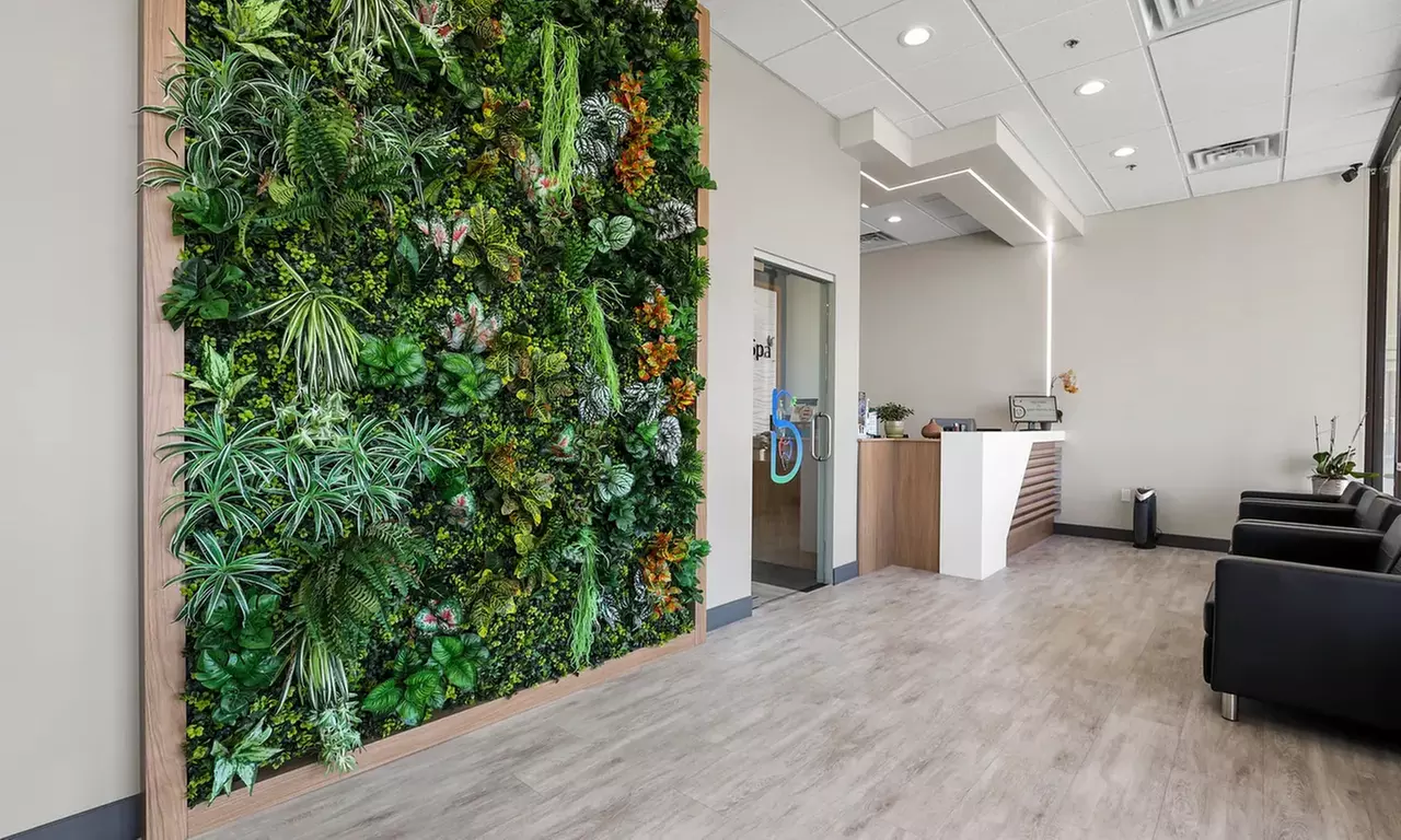 Dental Checkup with Cleaning, X-Ray, and Exam