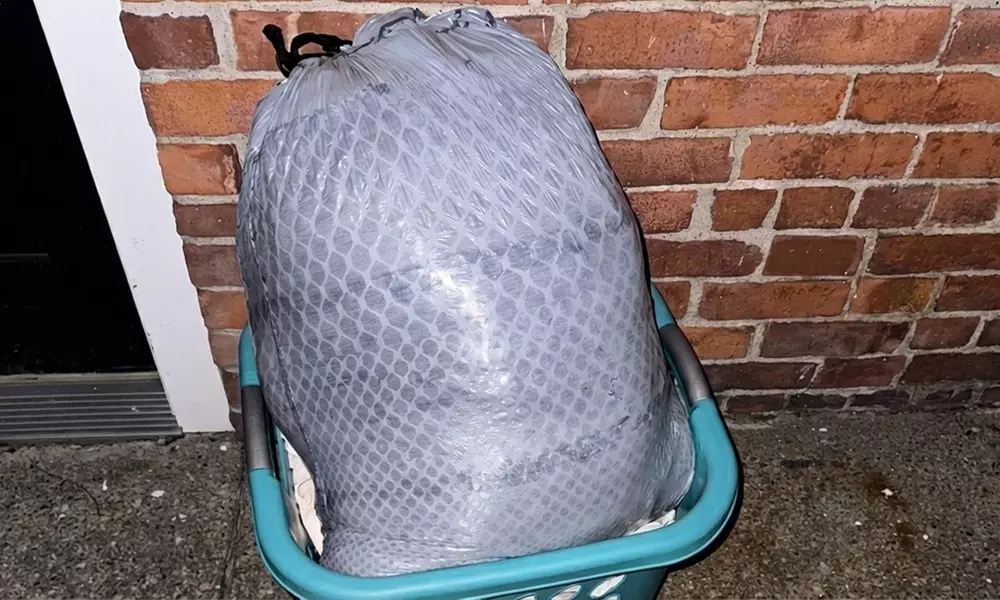 1, 2, or 3 Bags of Laundry | Wash, Fold + Free Pickup & Delivery