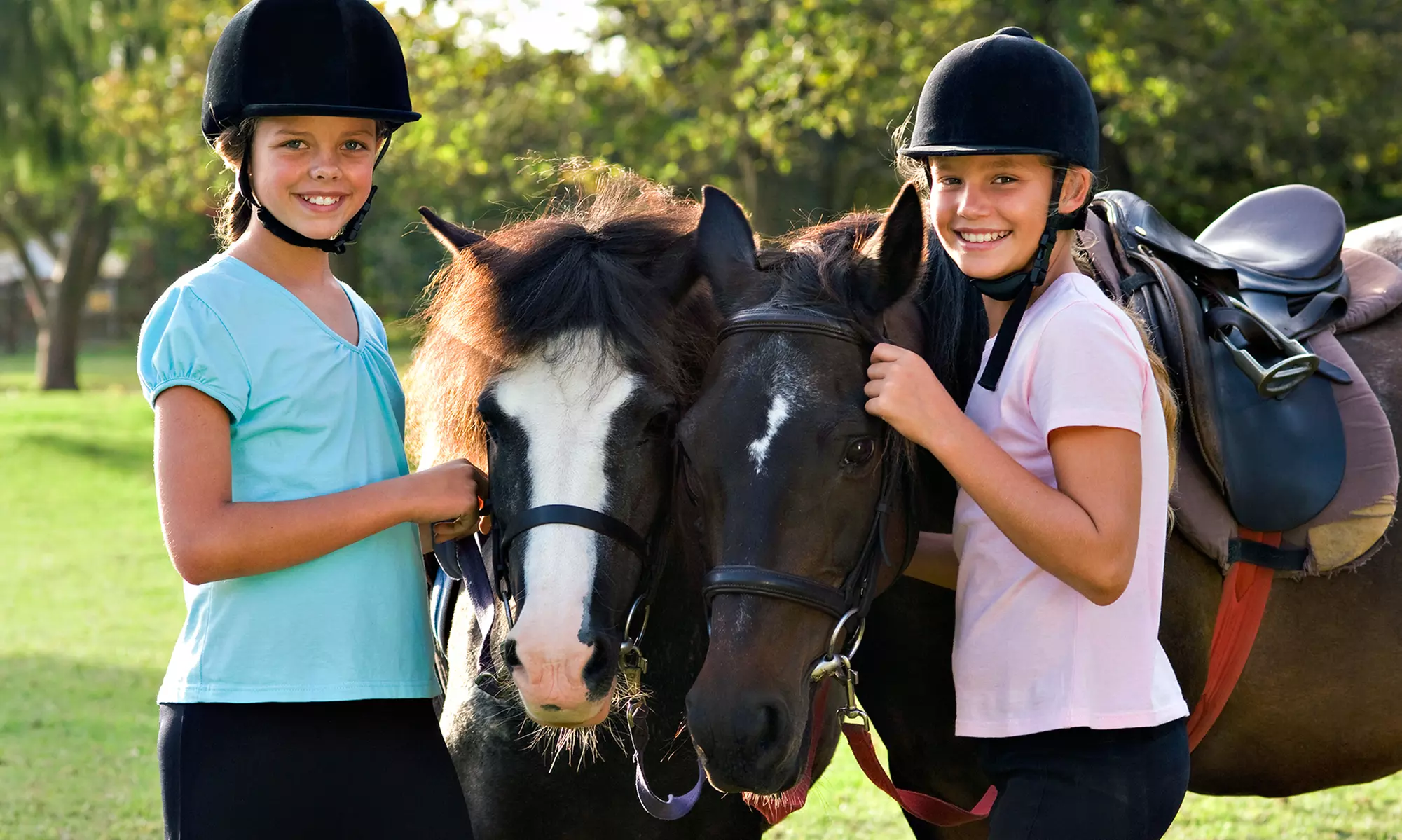 Two or Four 60-Minute Horseback Riding Lessons at Lucky Charm Riding Center (Up to 54% Off) - Primary Image