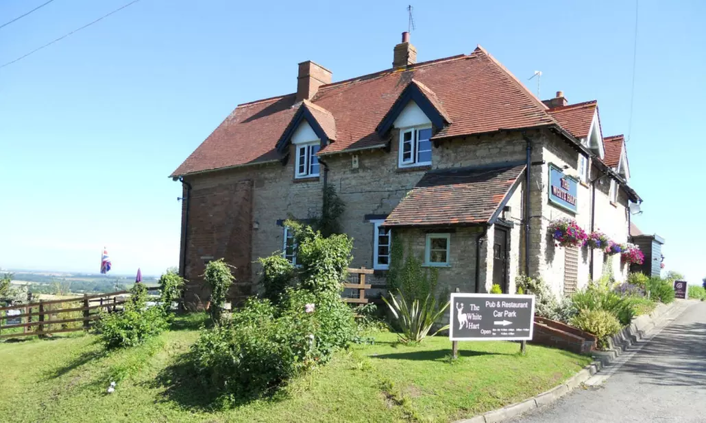 Choice of any Burger with Fries and Beer for One, Two, or Four