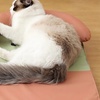 Image 11: Breathable Slide and Scratch-Resistant Cooling Mat for Cat or Dog 