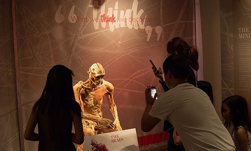Image 2: REAL BODIES at Horseshoe Las Vegas – Discover the Human Body Like Never Before 