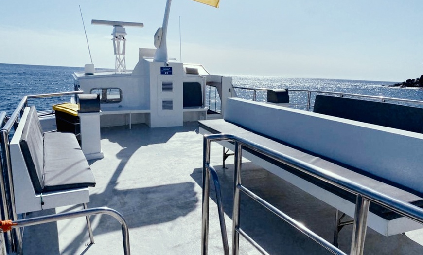 Image 4: Excursión de 4 horas en barco para avistar ballenas y delfines