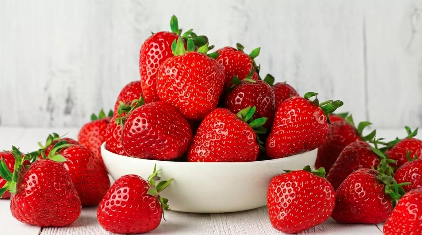 Strawberry Plant Collection