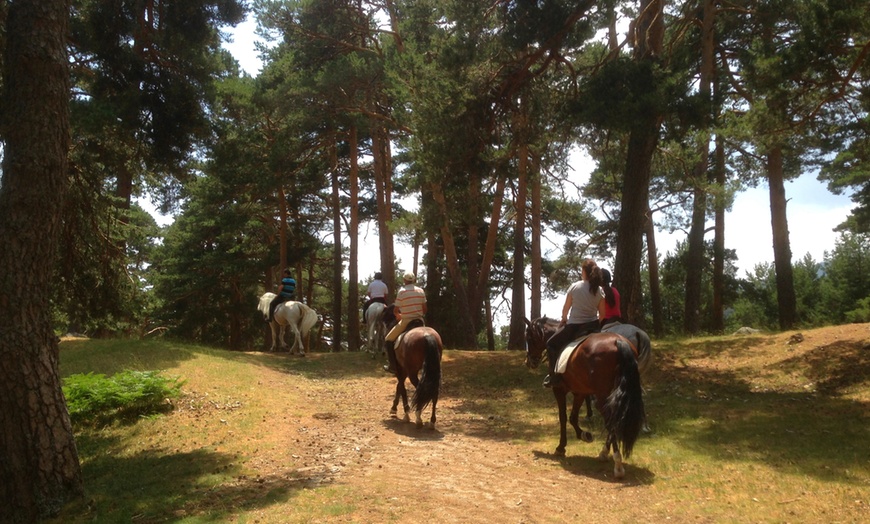 Image 8: Paseo a caballo en entorno natural para cualquier nivel (hasta 4 pax.)