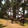 Image 8: Paseo a caballo en entorno natural para cualquier nivel (hasta 4 pax.)