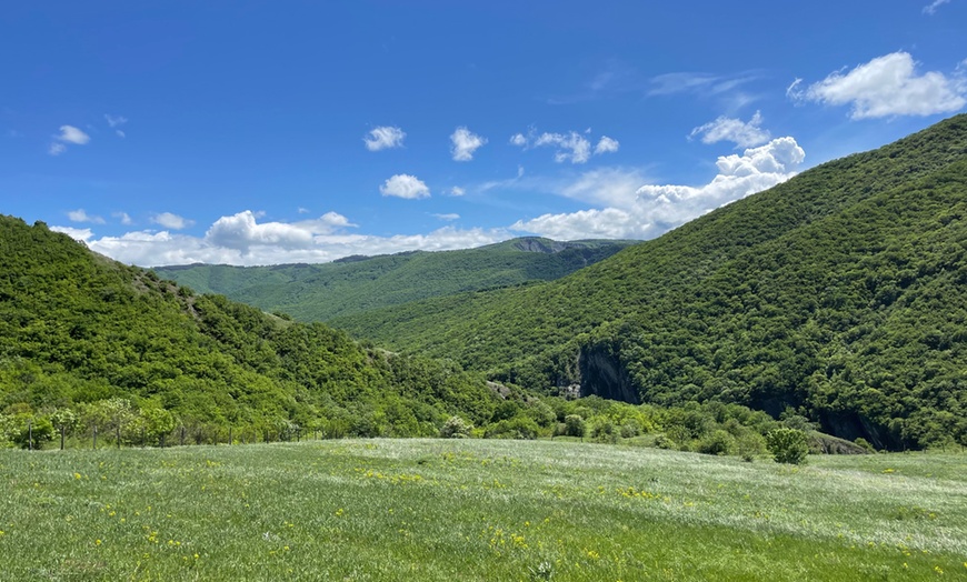 Image 2: Ticket für "Die Weinwelt Georgiens" für 1 Person von Februar bis April