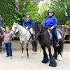 Image 1: Private Horseback Riding Lessons