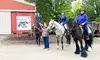 30-Minute or 60-Minute Private Horseback Riding Lesson at Greene Acres Equestrian Center (Up to 36% Off)