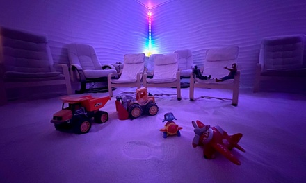 One Salt Therapy Session - 45 Minutes - Salts of the Earth Narre Warren South