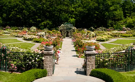 Admission for One, Two, or Four to The New York Botanical Garden (Up to 56% Off) - Primary Image
