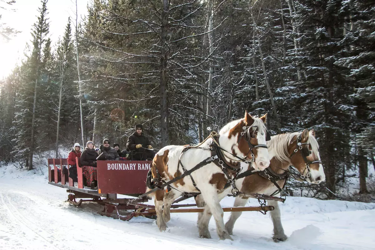 Magically Breathtaking Winter Sleigh Adventure in the Canadian Rockies