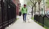 Dog-Walking Services and Pet Sitting Services from Paw-Riffic Pets, LLC (Up to 61% Off). Six Options Available.