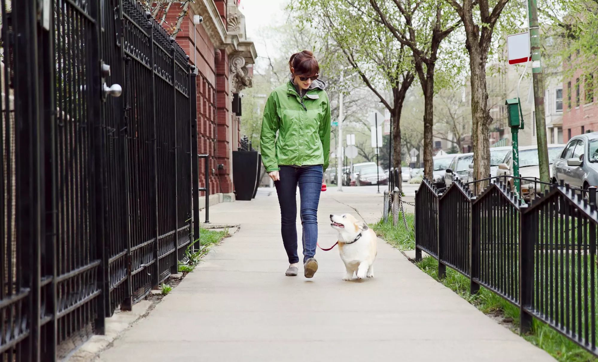 Dog-Walking Services and Pet Sitting Services from Paw-Riffic Pets, LLC (Up to 61% Off). Six Options Available. - Primary Image