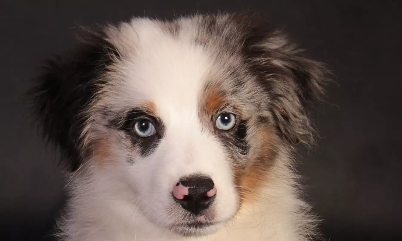 Séance photo au choix avec Noémie Ballot Photographies
