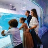 Image 4: Dubai Aquarium and Dubai Frame Entry Tickets for 1, 2 or 4 Adults