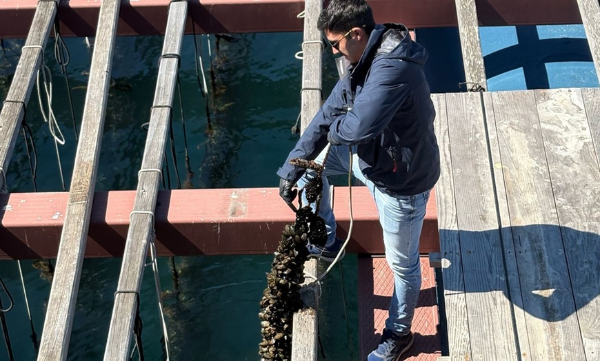 Image 9: Salida en catamarán con degustación de mejillones y una bebida para 1