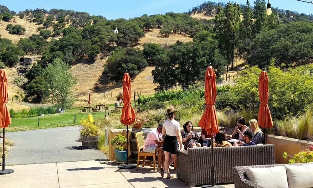 Private Wine Tour: 2 Curated Wineries & Luxury Sprinter from SF