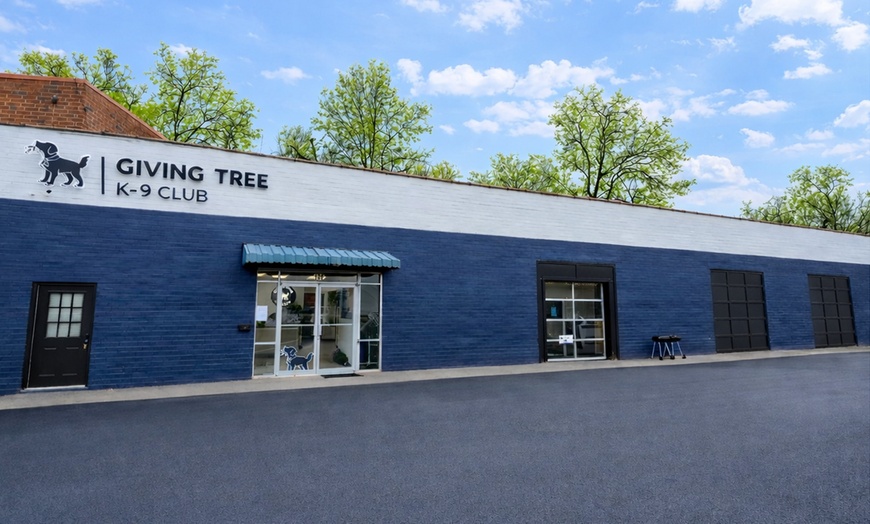 Image 6: Get a Full Bath / Grooming Package for Small | Medium | Large Dogs