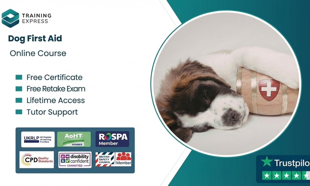 Dog First Aid Online Course or Lifetime Membership to 2500+ Courses