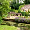 Image 11: Explore Cotswolds: All Entries, Lunch & Premium Seating Tour for All