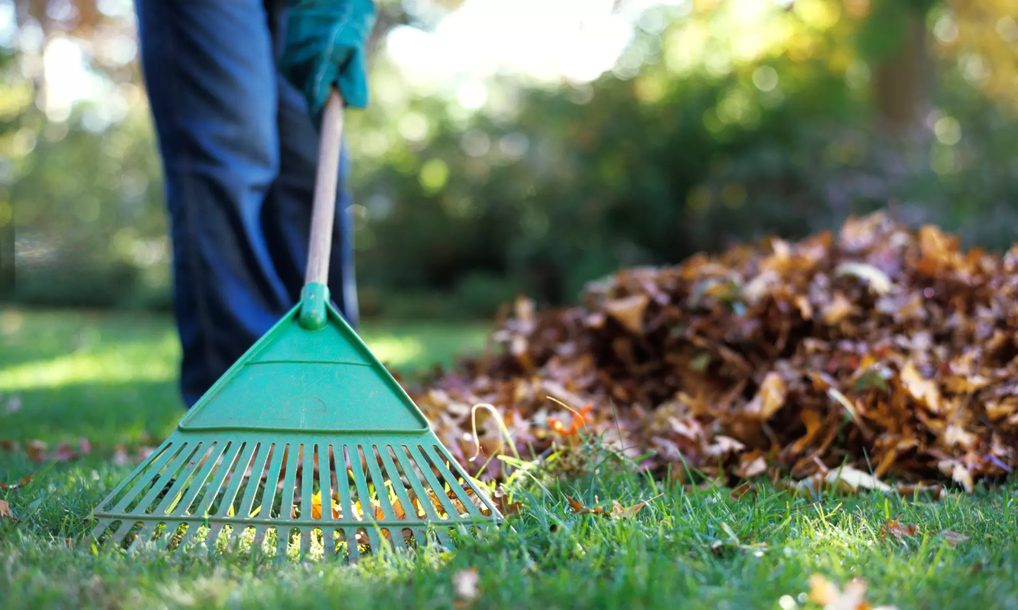 Spring Yard Cleanup from Alpenglow Landscaping LLC (Up to 62% Off) - Primary Image