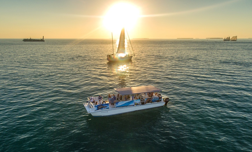 Image 4: Key West Dolphin Watch & Snorkel Tour